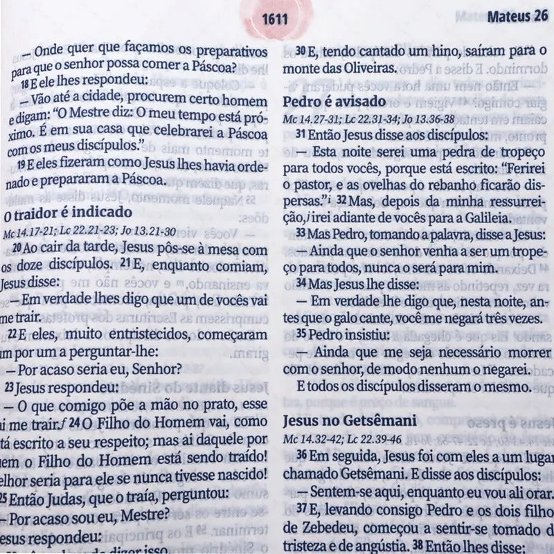 Bíblia Da Mulher Nova Edição Estudo E Devocional - NAA
