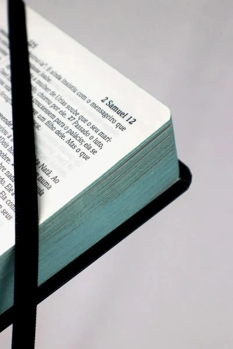 Bíblia Sagrada Leão de Judá - NVI