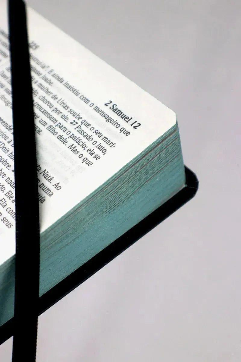 Bíblia Sagrada Leão de Judá - NVI